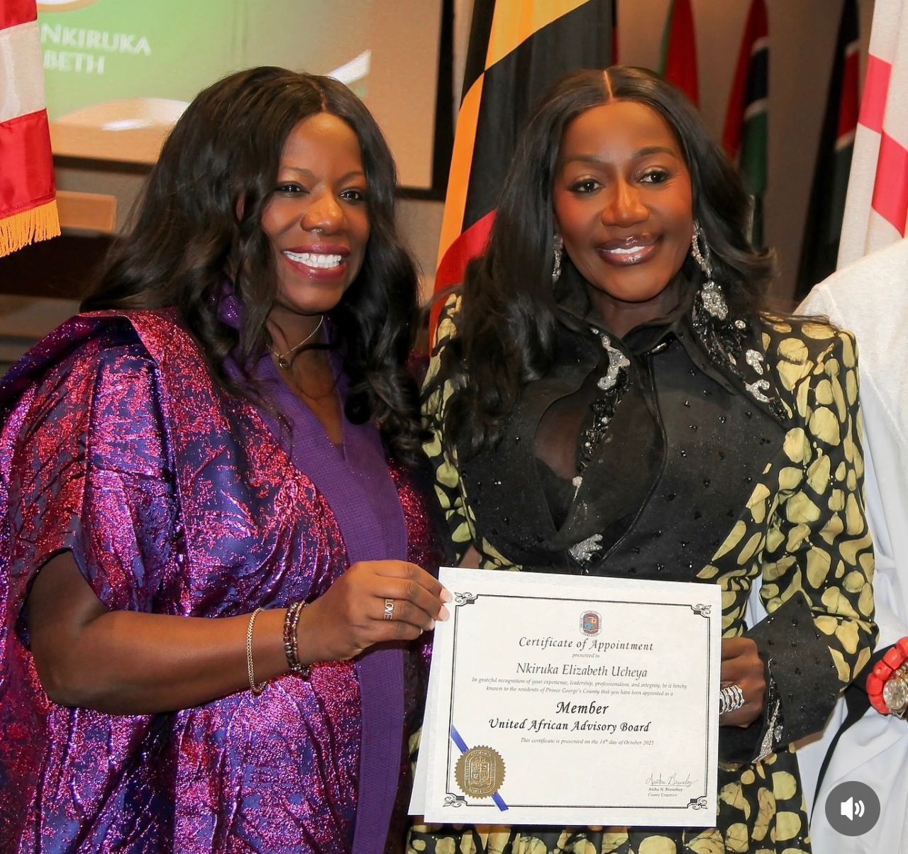 Honored to Join the United African Advisory Board: A Moment of Purpose and Leadership